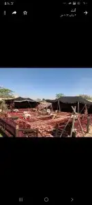 تاجير العاب ترفيهيه رياضيه وضيافه للكبار والموظفين 12