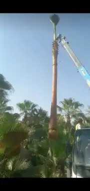 نعمل بتركيب الشبوك 9