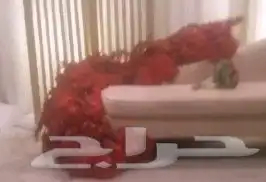 كوشة بورد 3