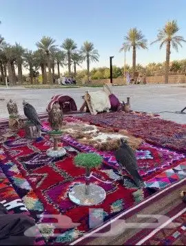 تاجير العاب ترفيهيه رياضيه وضيافه للكبار والموظفين 16