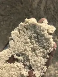 بطحاء تيمة بطحاء الشرطة 0