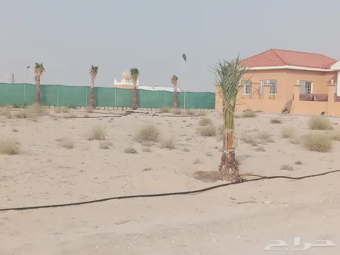 ابو احمد للاعمال الزراعيه 25