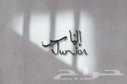 تصميم شعارات و تجديدها 15