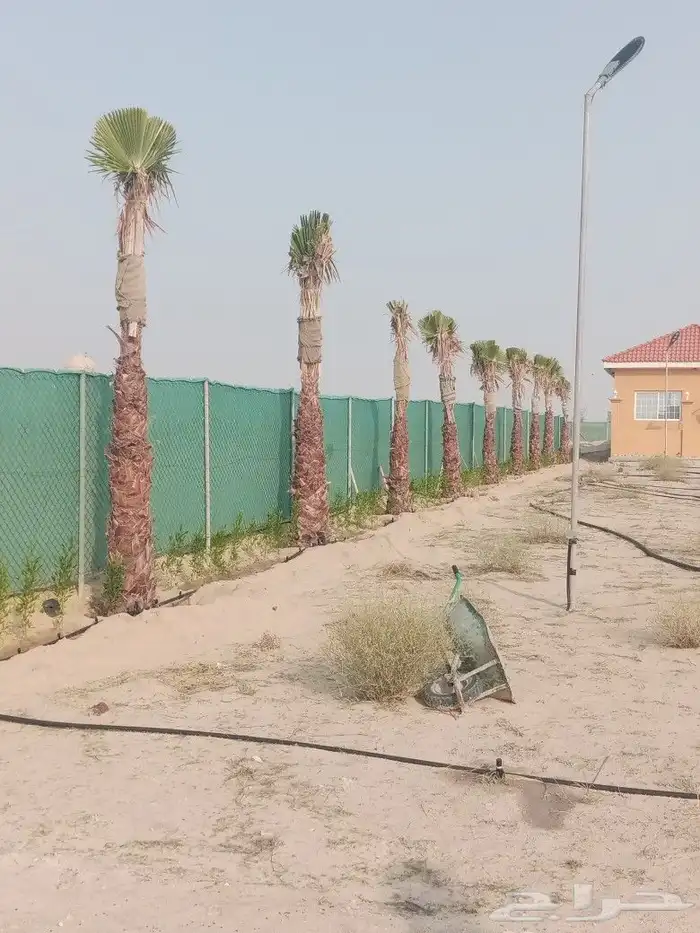 ابو احمد للاعمال الزراعيه 20