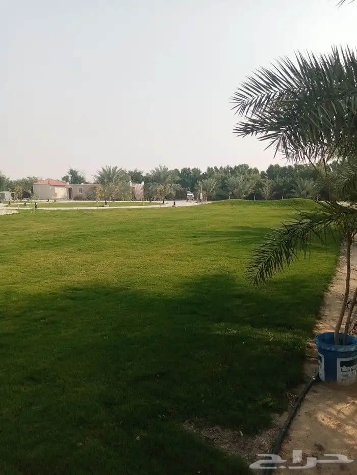 ابو احمد للاعمال الزراعيه 39