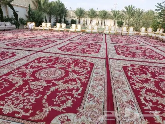 زل ملكي كرسي تأجير الخيام إيجار خميس مشيط 1