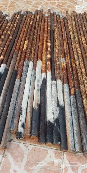 عصي لوز مصري مسقيه ومجلبه جاهزه 29