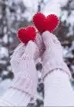 اوفر معلمات اكفاء 0