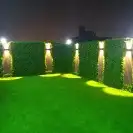 لاند سكيب للاسطح والجدران 46