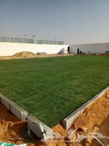 ثيل طبيعي سي 2000 1