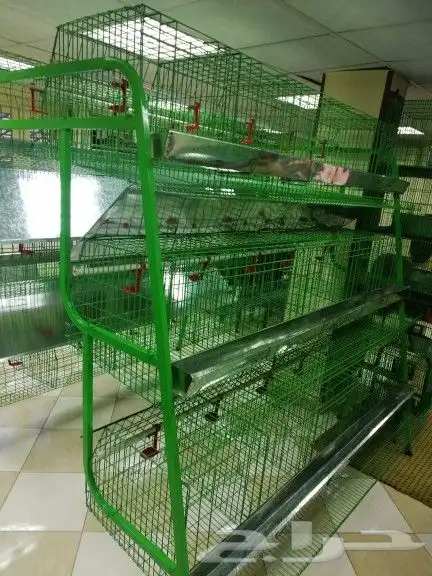 بطاريه دجاج بياض سعه 150 0