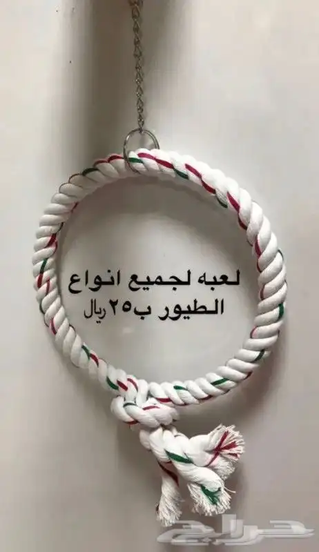 للبيع مستلزمات طيورالزينه جديدة 20