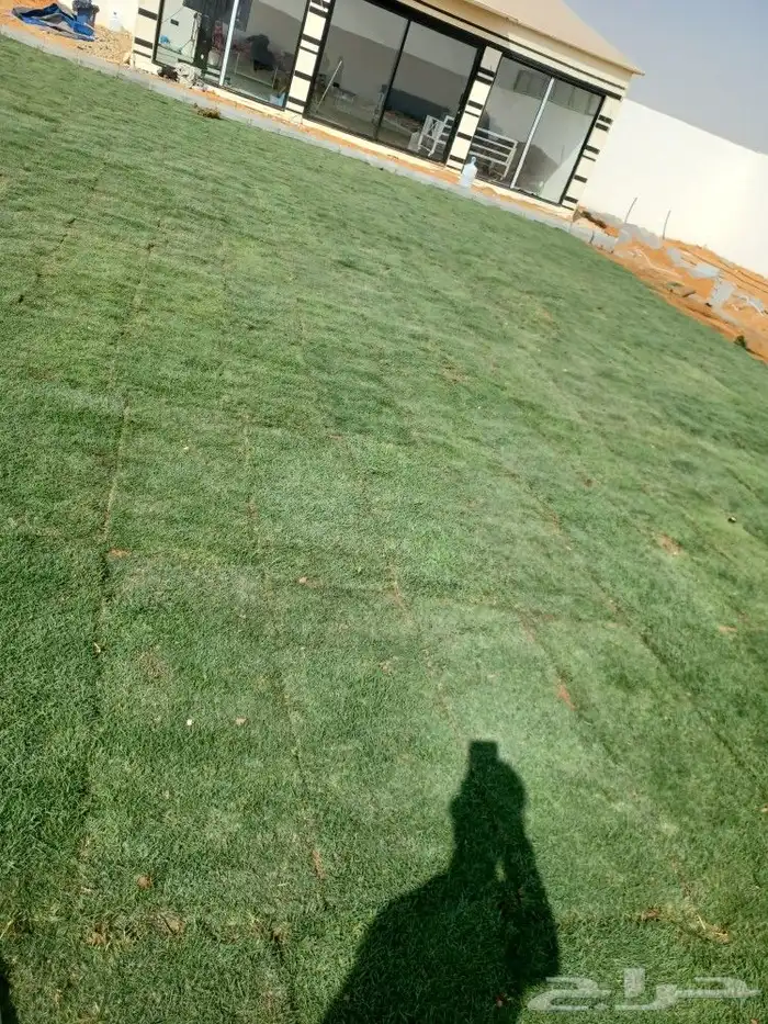 ثيل طبيعي سي 2000 11