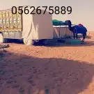 اشرعة مطر اشرعة تريلا شراع قلاب شراع دينا مطارة طربال مويه 15