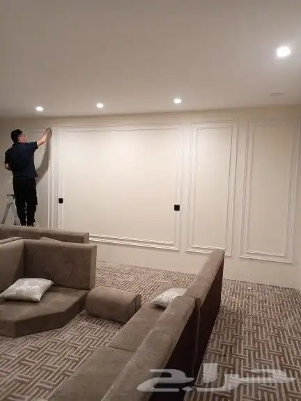 فني باركية 21