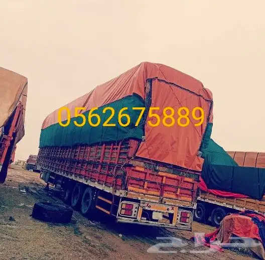 شراع غمارة البي شراع غمارة بوز شراع كفرات 9