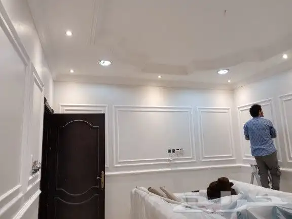 فني باركية 1