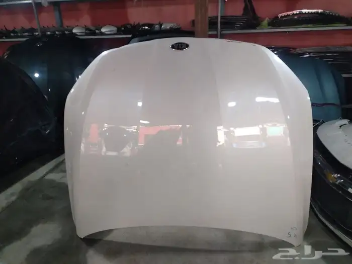 كبوت كي فايف 2021-2022 3