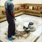 شركة مكافحة حشرات النمل الأبيض غسيل فرشات بالرياض 3
