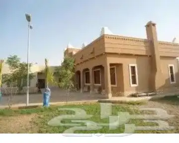 تراث وحجر وشبوك 0
