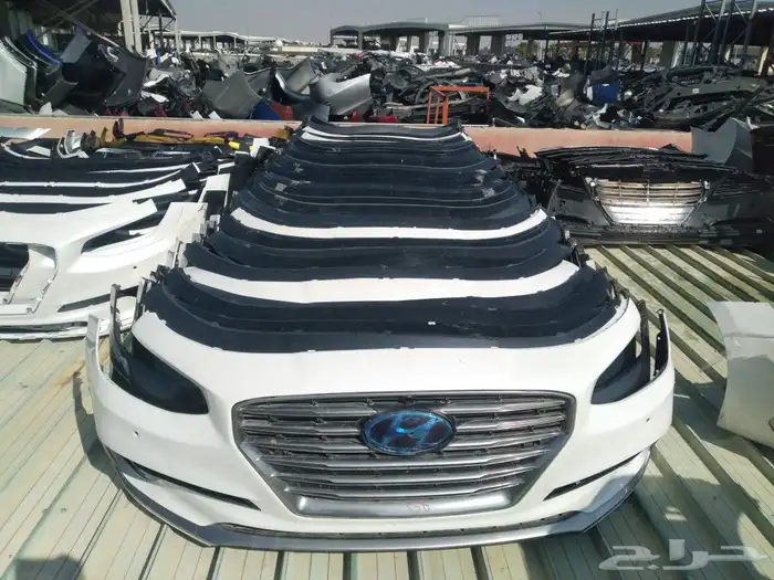 صدام ازيرا 2018-2019-2020 0