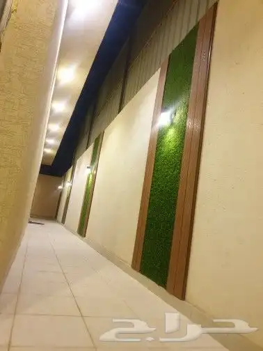عشب صناعي وطبيعي شبكات راي 10
