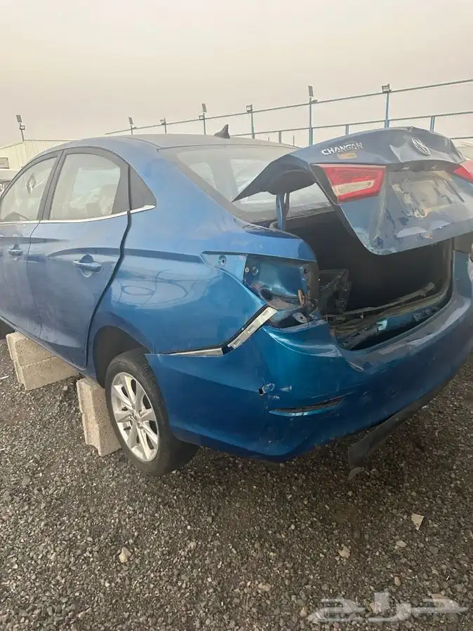 تشانجان السفن 2022 3