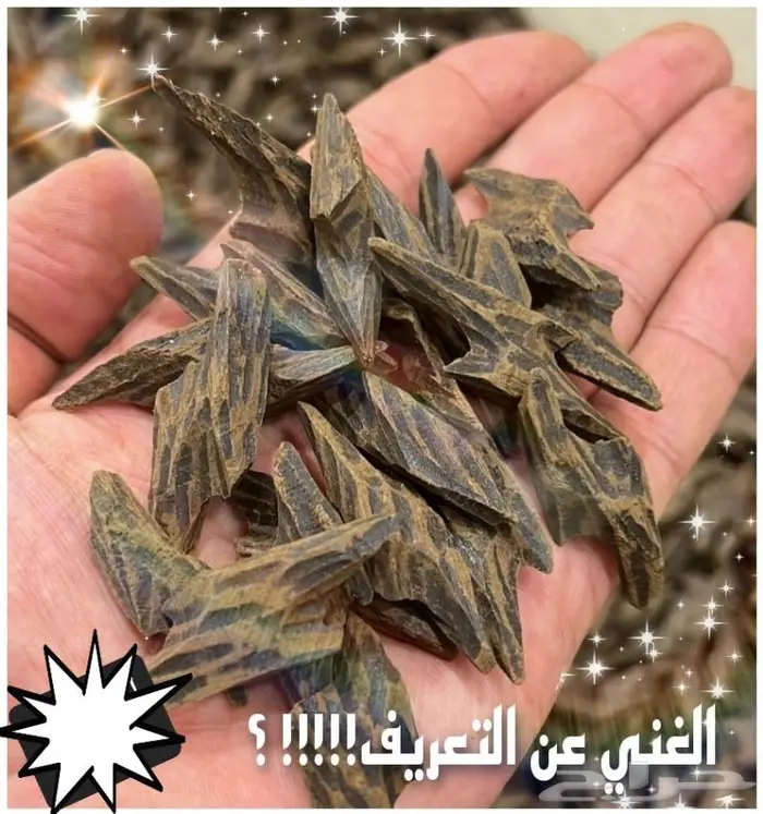 عرض على عود تايقر 0