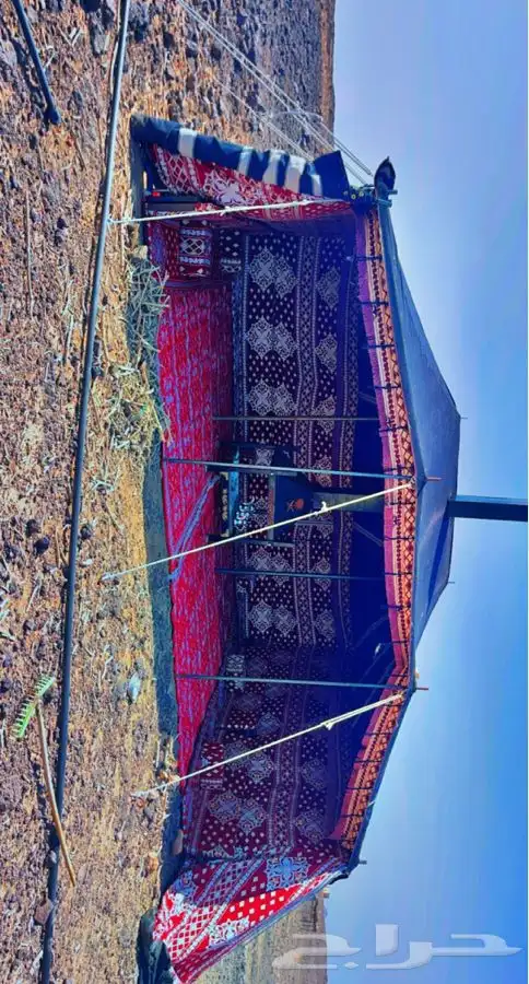 بيوت شعر العياش المدينه المنوره 25