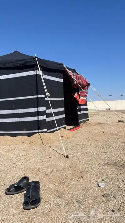 بيوت شعر العياش المدينه المنوره 6