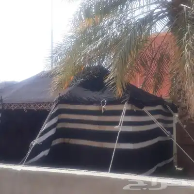 بيوت شعر العياش المدينه المنوره 9