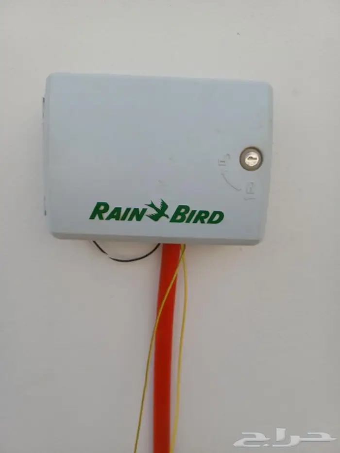 سباك زراعة ثيل طبيعي 2