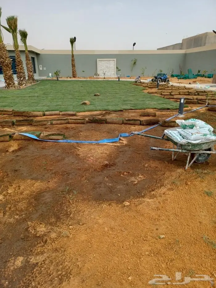 سباك زراعة ثيل طبيعي 1