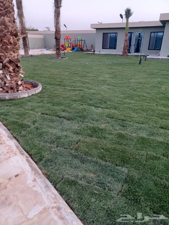 سباك زراعة ثيل طبيعي 10