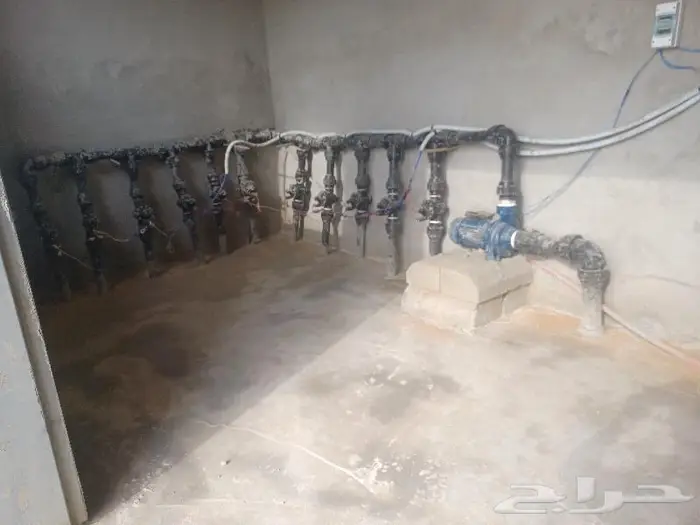 سباك زراعة ثيل طبيعي 7