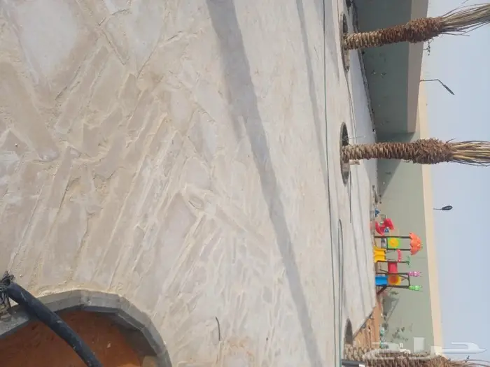 سباك زراعة ثيل طبيعي 13