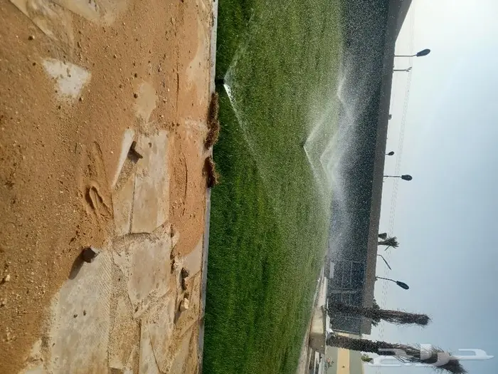 سباك زراعة ثيل طبيعي 21