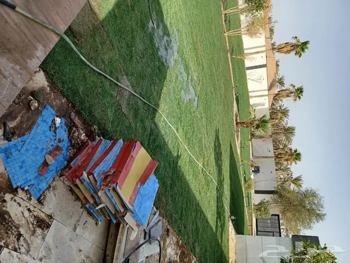 سباك زراعة ثيل طبيعي 22