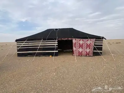 بيوت شعر العياش المدينه المنوره 14