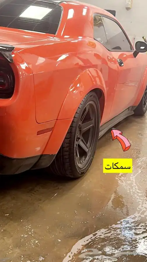 سمكات شالنجر 2008-2022 0