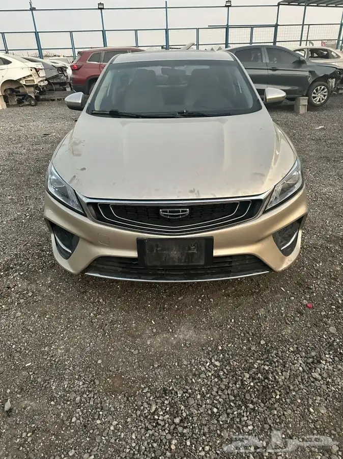 جيلي بينراي موديل 2020 0