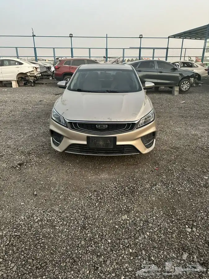 جيلي بينراي موديل 2020 3