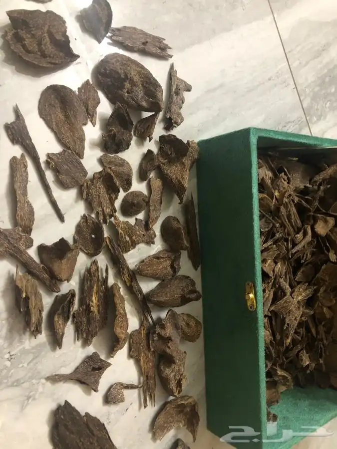 عود طبيعي 100 100 2