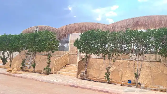 جلسات خيزران مظلات خيزران بكستاني 14