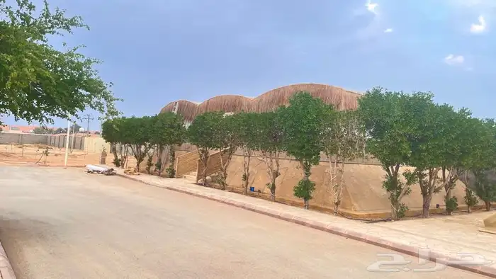 جلسات خيزران مظلات خيزران بكستاني 15