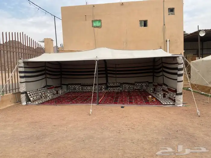 بيت شعر ابيض نضام كستنا 2