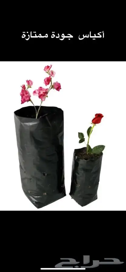 مراكن زراعية 37