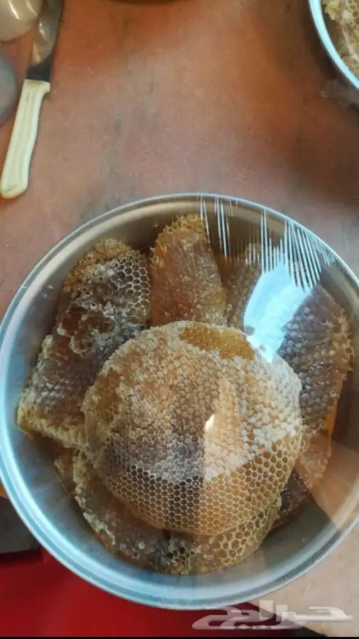 عسل السدره الجبلي وعسل سمر وعسل الخلطه الملكيه وطلحه وغيرها 3