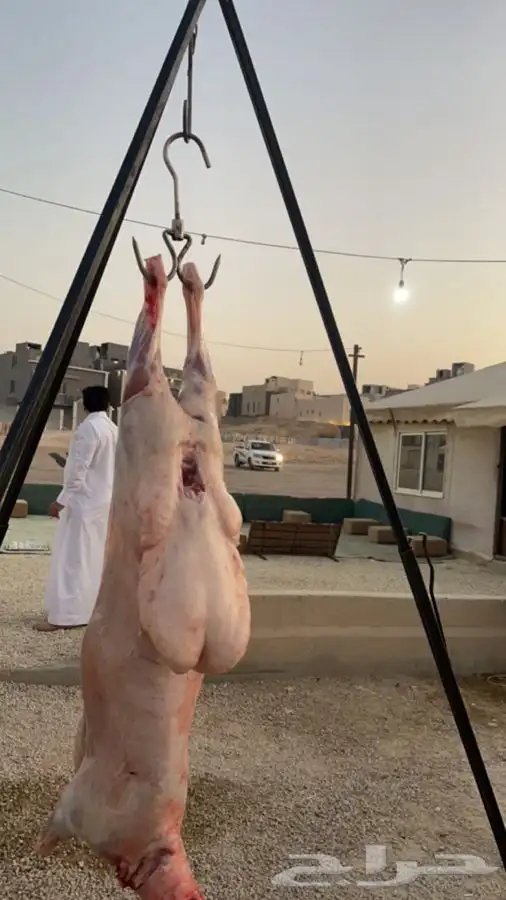 مشويات 0