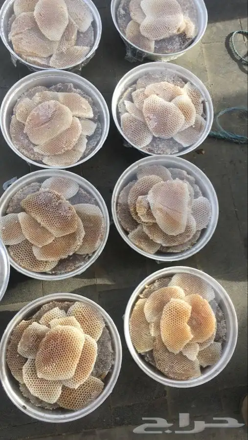 عسل السدره الجبلي وعسل سمر وعسل الخلطه الملكيه وطلحه وغيرها 12